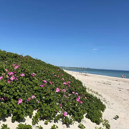 Luxury Retreat - By Traum Hébergement de vacances *