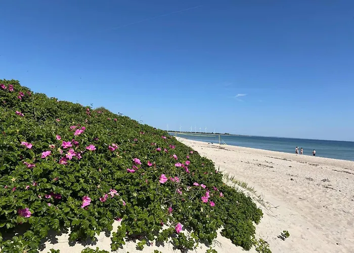 Luxury Retreat - By Traum 펜션 *